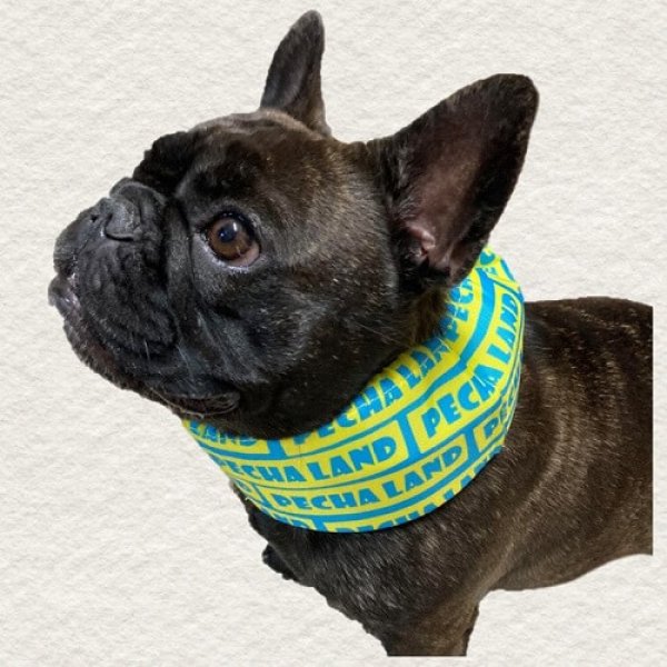 画像2: 首クール　スクエアロゴ　Mサイズ　ブルー (2)