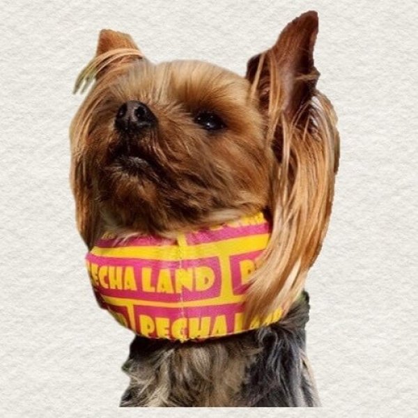 画像3: 首クール　スクエアロゴ　Sサイズ　イエロー (3)